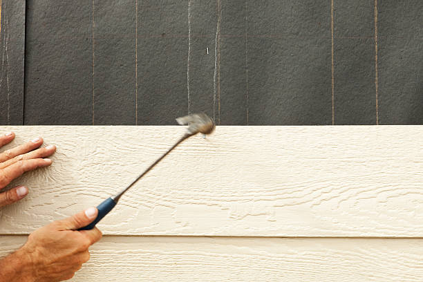 Best Siding Painting and Refinishing  in Three Rivers, OR